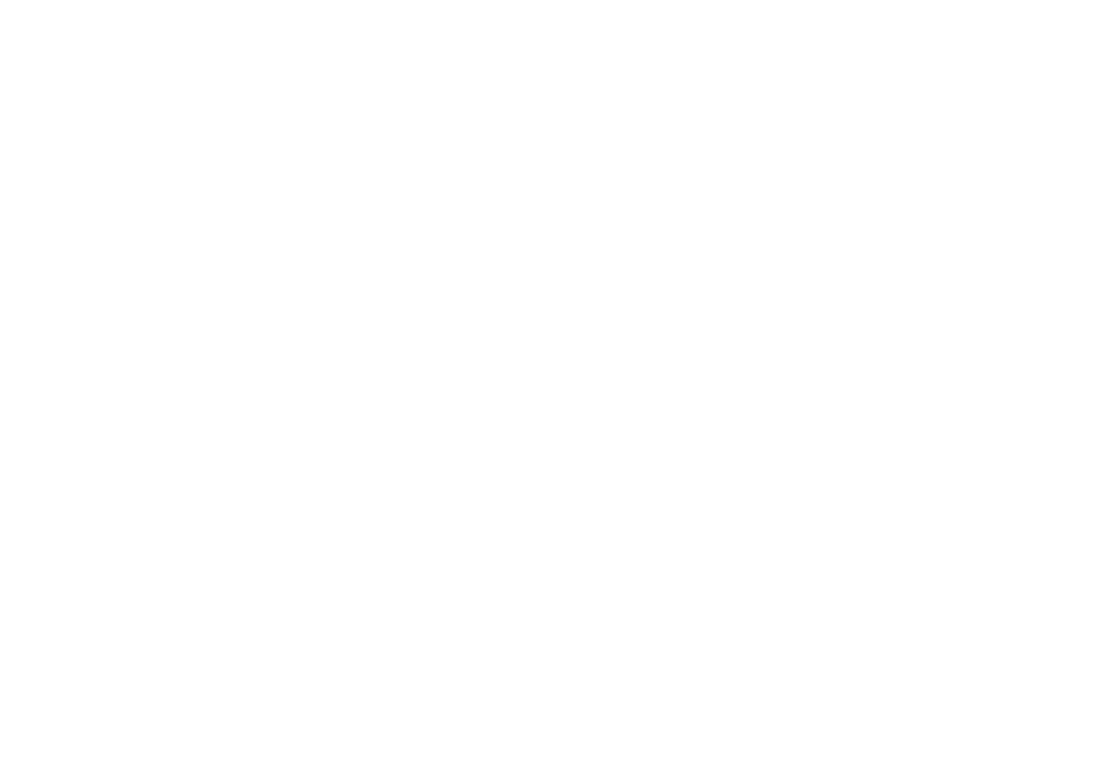 TSE Belgesi
